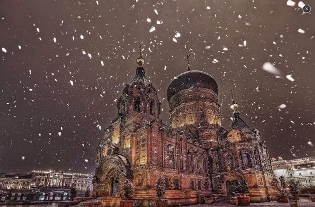 当爱偷井盖的河南人撞见爱打架的东北人,结