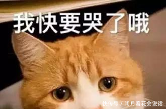 蹲马桶水总是溅到屁股,这么尴尬的问题,有什么