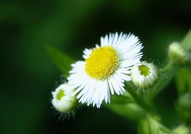 做人要懂得:人穷休入众,位卑莫劝人(哲理美文)