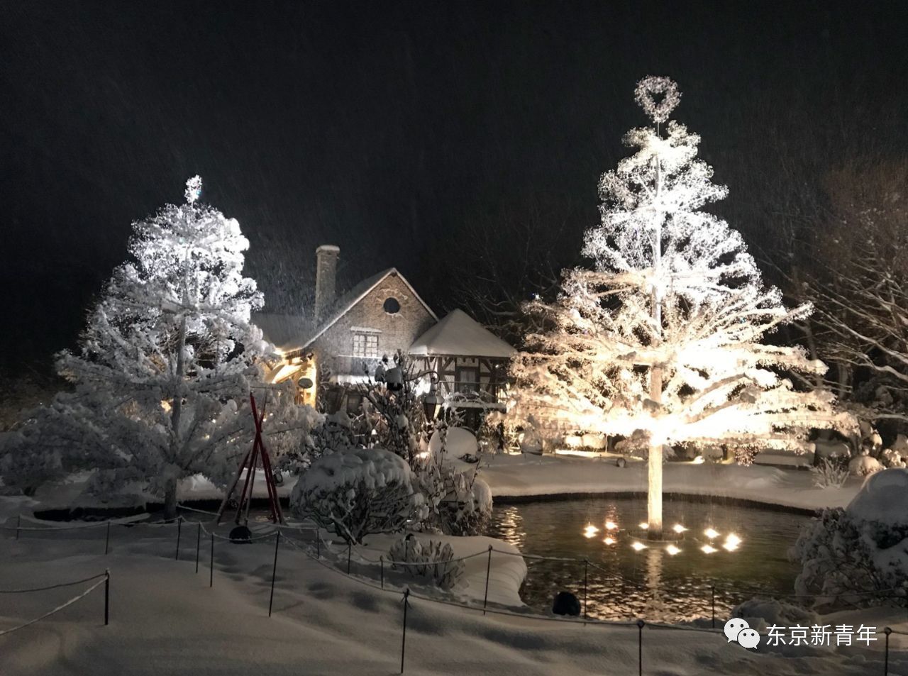 日本气象厅发大雪警报!今天东京下了一场北海