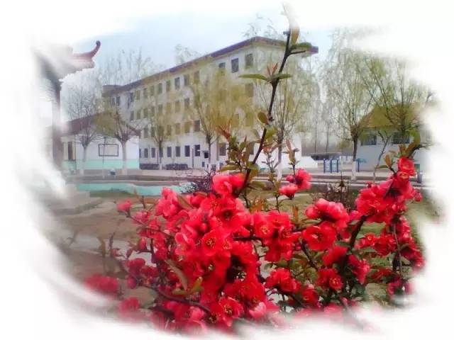 临沂费县上冶一中的学子们,这里有一篇回忆杀