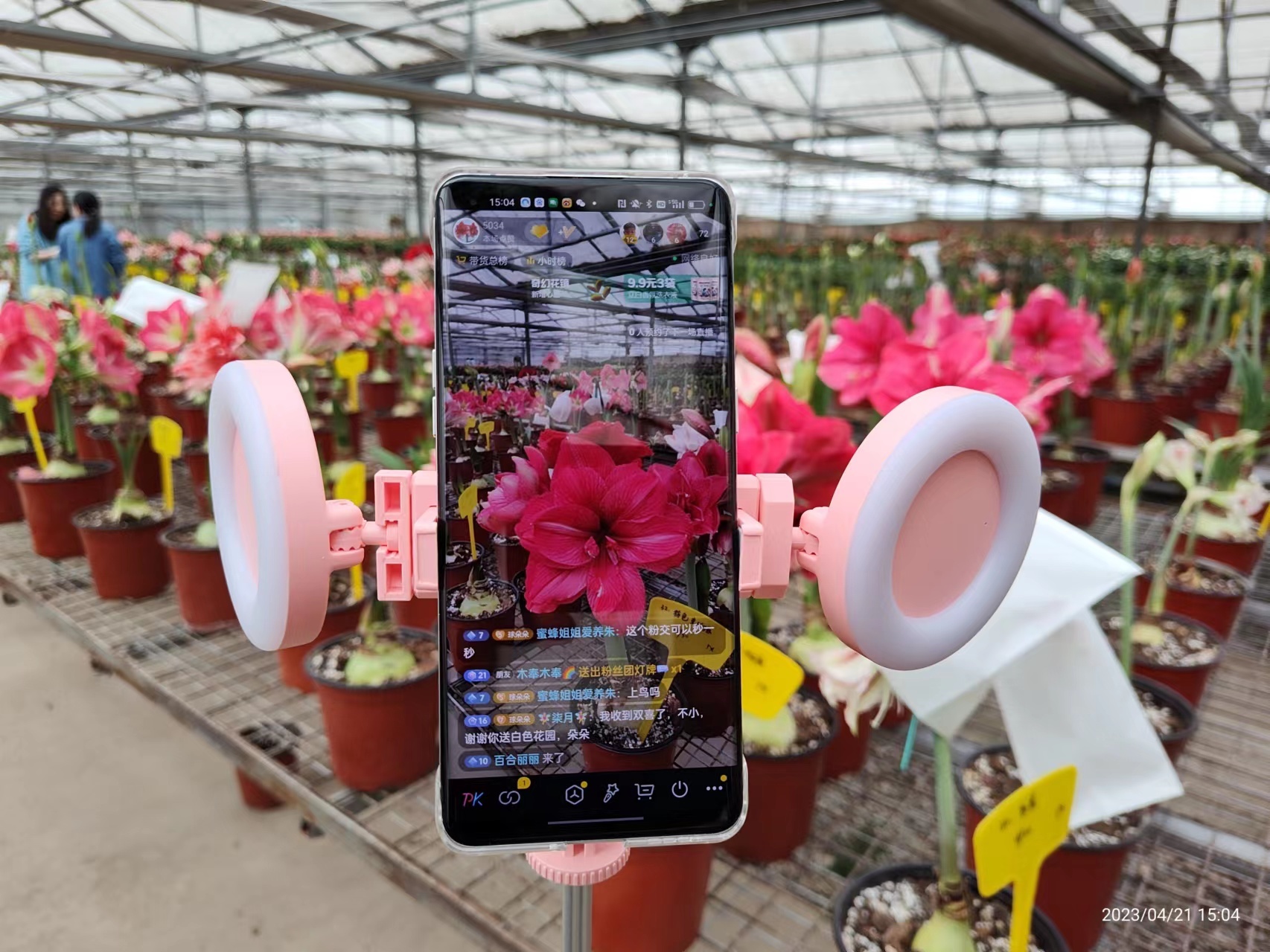 大兴区加速花卉种业“芯片”研发推动花卉品种持续“上新” 大兴区加速花卉种业“芯片”研发推动花卉品种持续“上新”