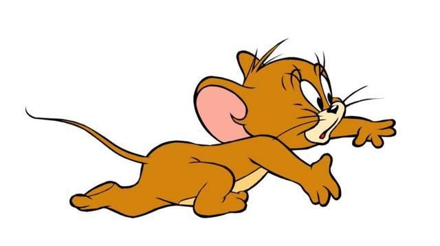 老鼠有什么好的用处 t0109697e49a4c33dd6.jpg?size=640x358