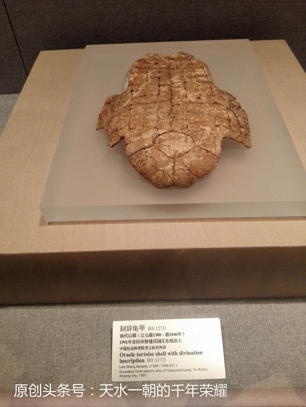 陕西省历史博物馆PK河南省博物院,谁能代表上