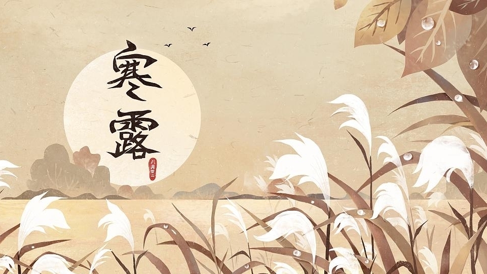 今日寒露丨秋深露浓，寒意愈盛，愿君多珍重