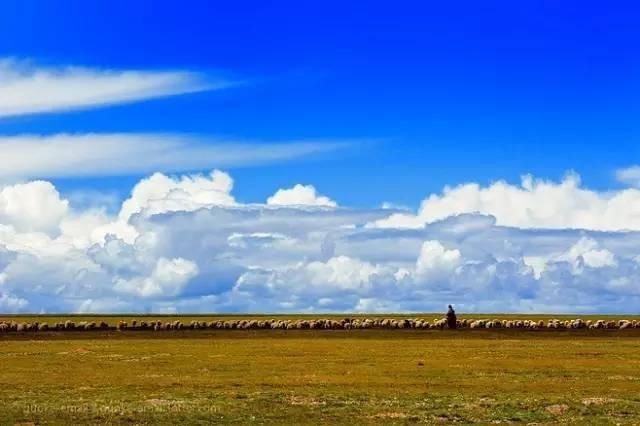 羊湖和纳木错,哪个更值得一去?