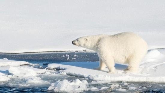 民调:多国民众认为气候变迁为最大安全威胁 民调:多国民众认为气候变迁为最大安全威胁