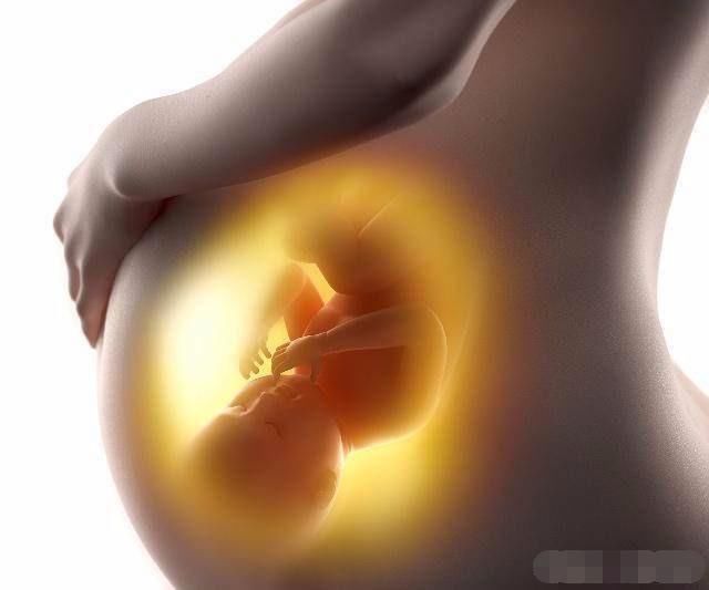 胎儿多少周,是大脑发育的关键期?孕妈抓住了,