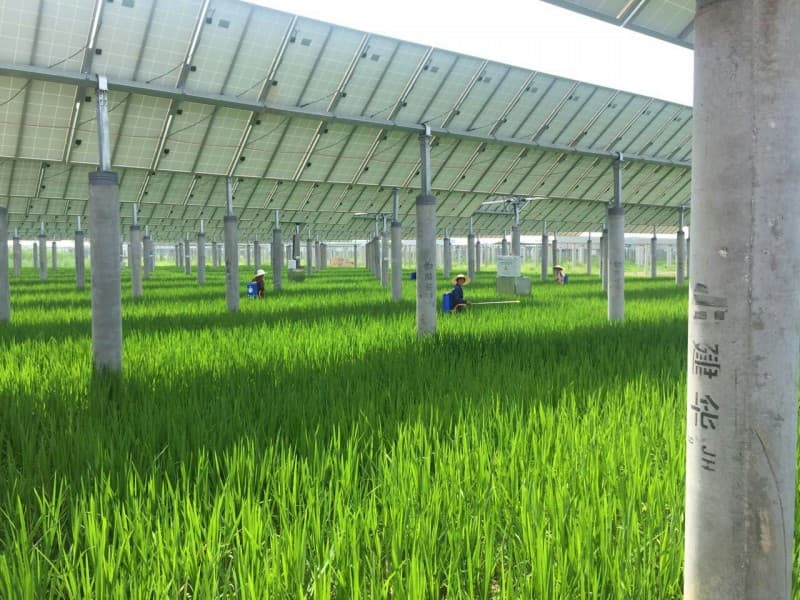 协鑫集成再中标140兆瓦光伏扶贫工程 项目预算