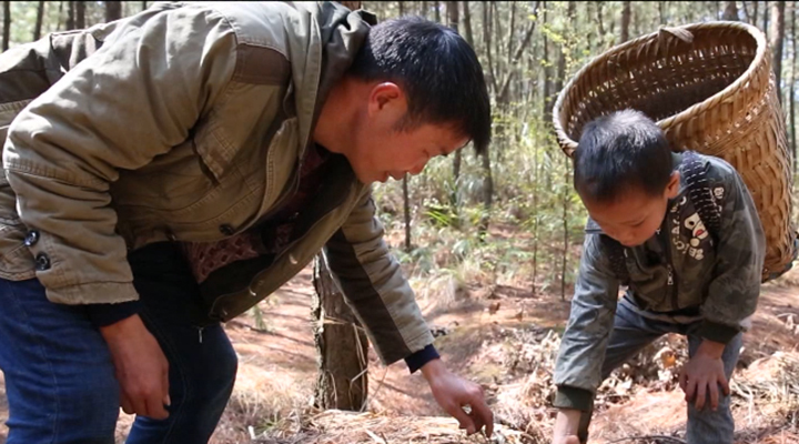 《金色童年》圆梦行动 《金色童年》圆梦行动