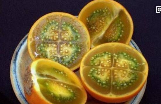 全球公认名字最奇葩的水果,一个比一个奇葩,你