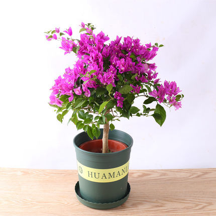 嫂子到日本旅游,把富士山的照片发朋友圈,亲戚