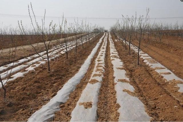 土地确权后,没有土地的村民应该如何保障自己