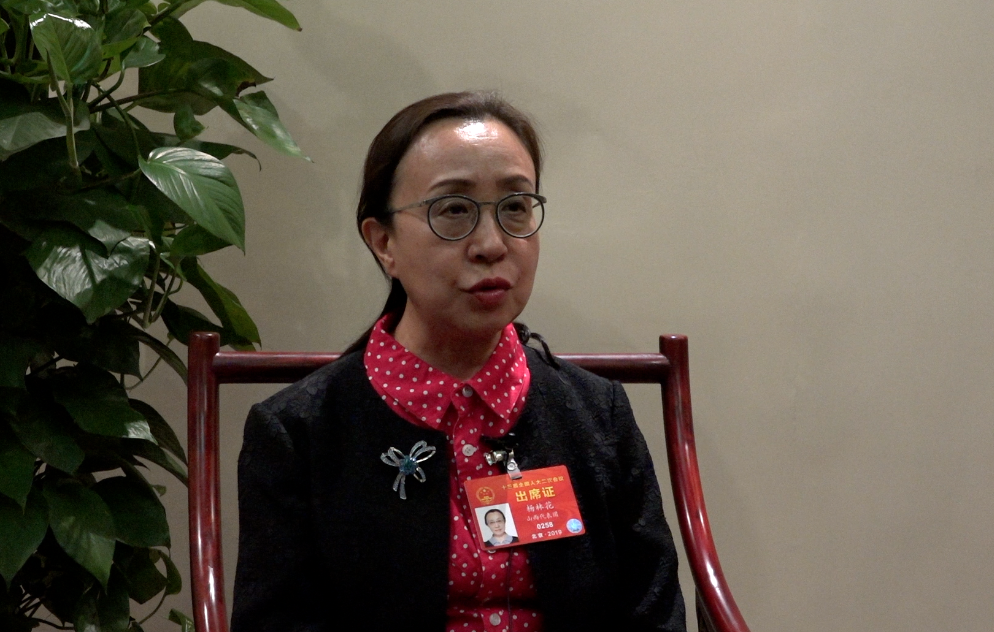 全国人大代表杨林花:希望有更多更好的国产药解决大病患者难题