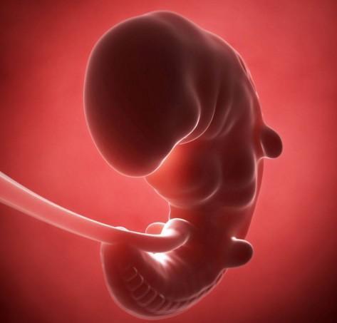 做试管婴儿移植两个坯胎着床一个,看到有的双胎要减胎心里酸酸的