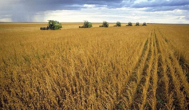 中国为什么要进口美国大豆?是国内种不出来还