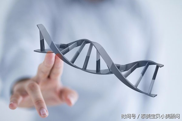 有过一次胎停,再次怀孕需要注意什么?