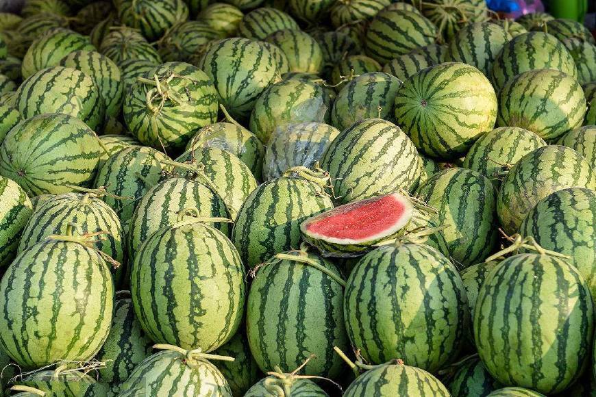 愁坏越南人了,大量西瓜滞销,但如果中国不买可就没人买了