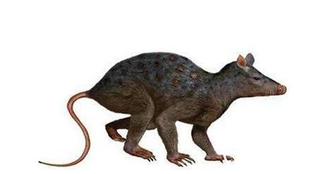 "老鼠"在远古时期,你知道有多厉害吗?恐龙有时它们都不惧!