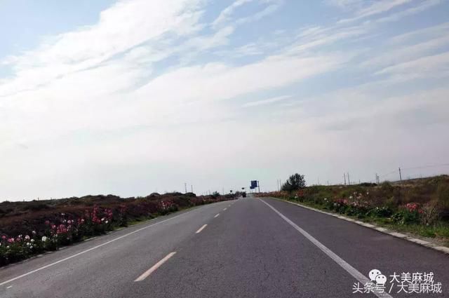 投资2738万,麻城要新建一条路了,从火车南站到