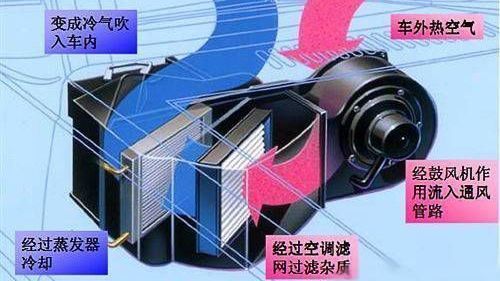 共抗疫情  胖邵养车特辑 第二期:如何让车内空气更清新之空调滤芯