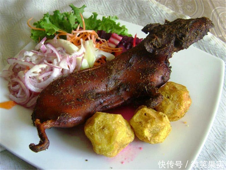 炖或轻度蒸熟后,其味道让人想起鱿鱼或章鱼. 5.烤豚鼠