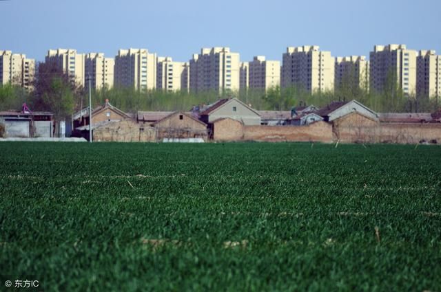 父母车祸双亡,姐弟俩被乡亲抚养长大,后来全村