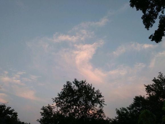 儿子结婚女方家要50万彩礼,父亲在婚礼拿来,女