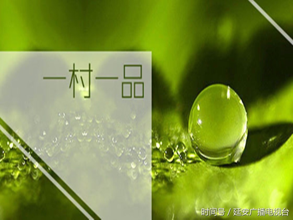 贫故事】吴起县长官庙镇: 精准定位一村一品