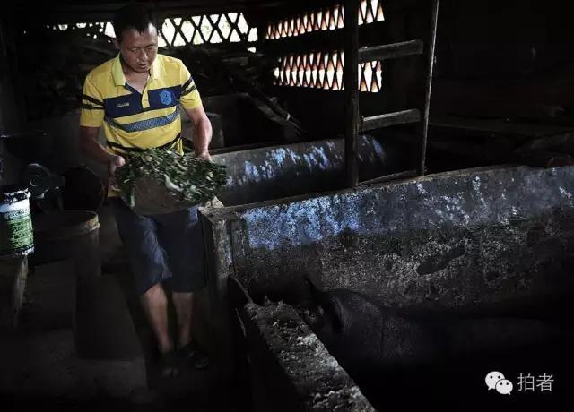 嗜赌与杀人,"盲井案"嫌疑人的家族和村庄