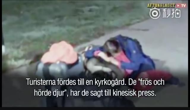 瑞典事件国外曝光视频,中国游客坐地大哭救命