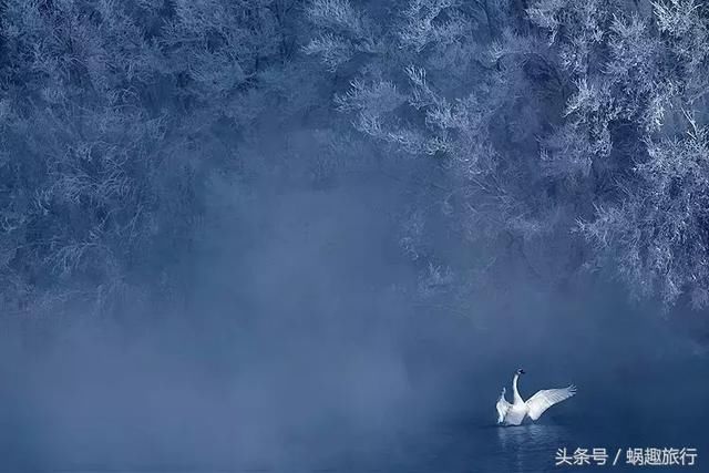 紧急!湖南省各州市关于暴雪天气放假的通知!