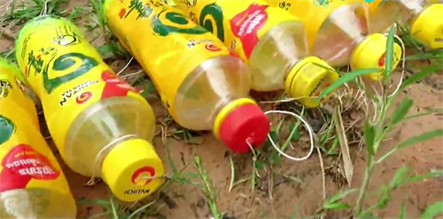 农村小伙用塑料瓶捕鱼,第二天拉上来鱼没捕到