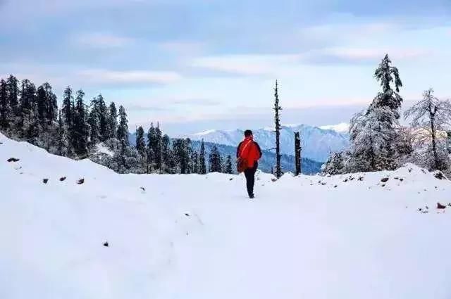 距成都2h,藏了個耍雪天堂!洗肺耍雪兩不誤!