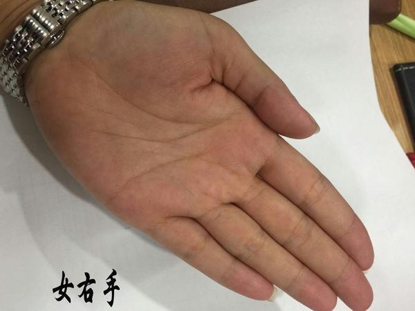 是指手掌有肉而厚富有弹性的手,但是这种生肖一般发财不会太早,属于晚