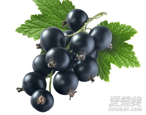 黑加仑是蓝莓吗 黑加仑和蓝莓的区别