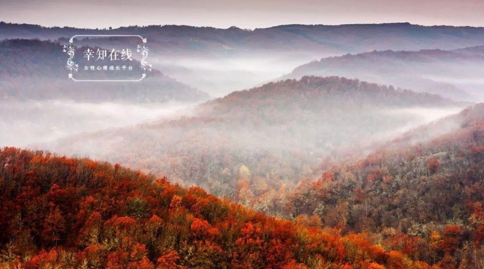 真人实录:一个出轨女人的自白