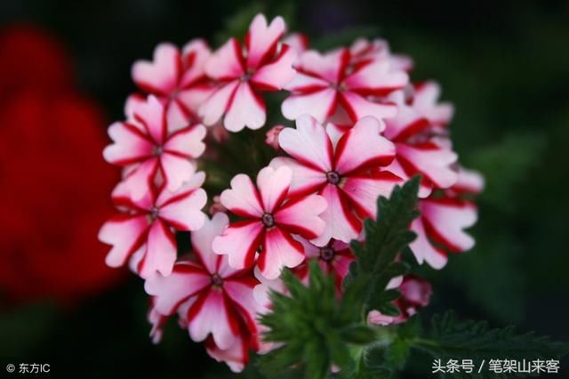 心静如水的女人,总能散发出深沉的魅力