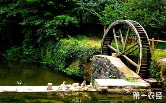 2018年农村房屋补贴政策出来了,最高可领10万