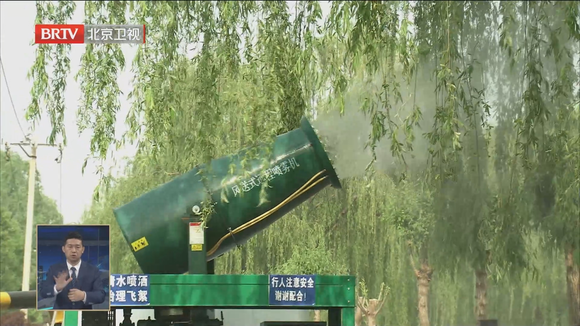 2023年北京杨柳飞絮发生期结束 飞絮高发区域比去年减少百分之三十一_北京时间
