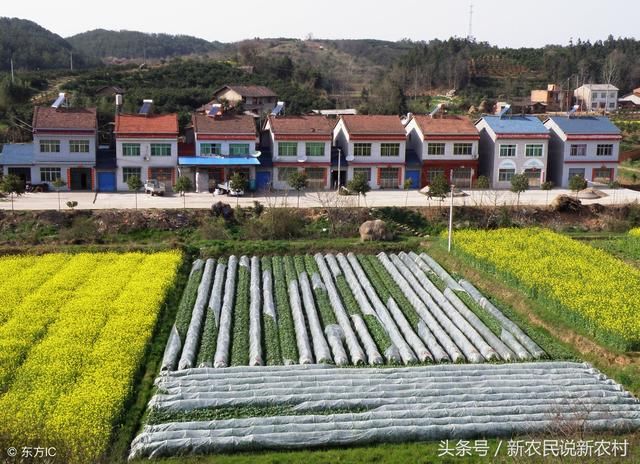 三农:新政策出来农村什么地方可以盖房?老房子