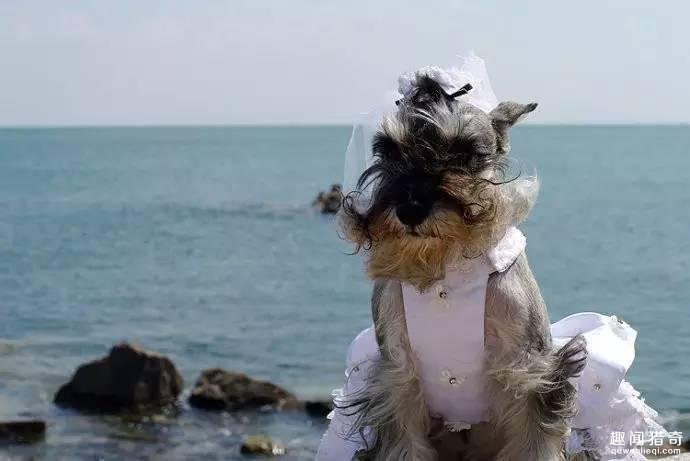 街拍要凹好造型