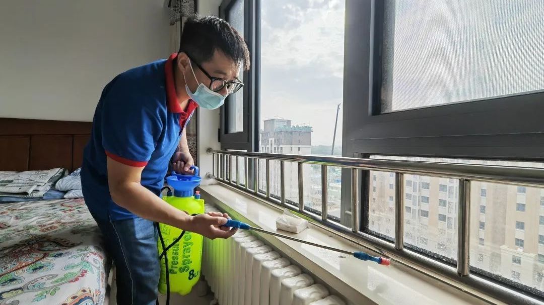 蚂蚁“扎营”惹人忧 延庆百泉街道火速开展“灭蚁行动” 蚂蚁“扎营”惹人忧 延庆百泉街道火速开展“灭蚁行动”