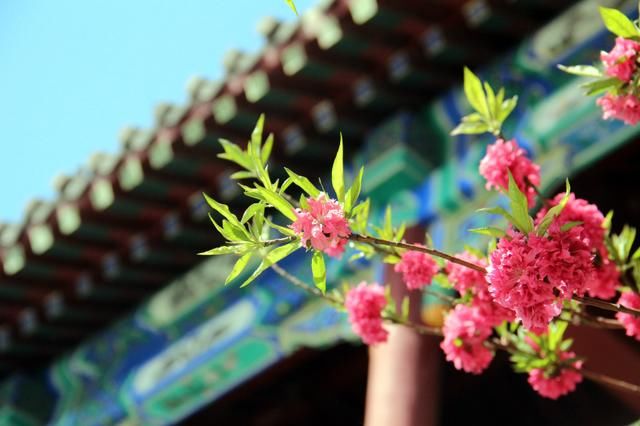 开封旅游老司机 写了个五一开封游计划