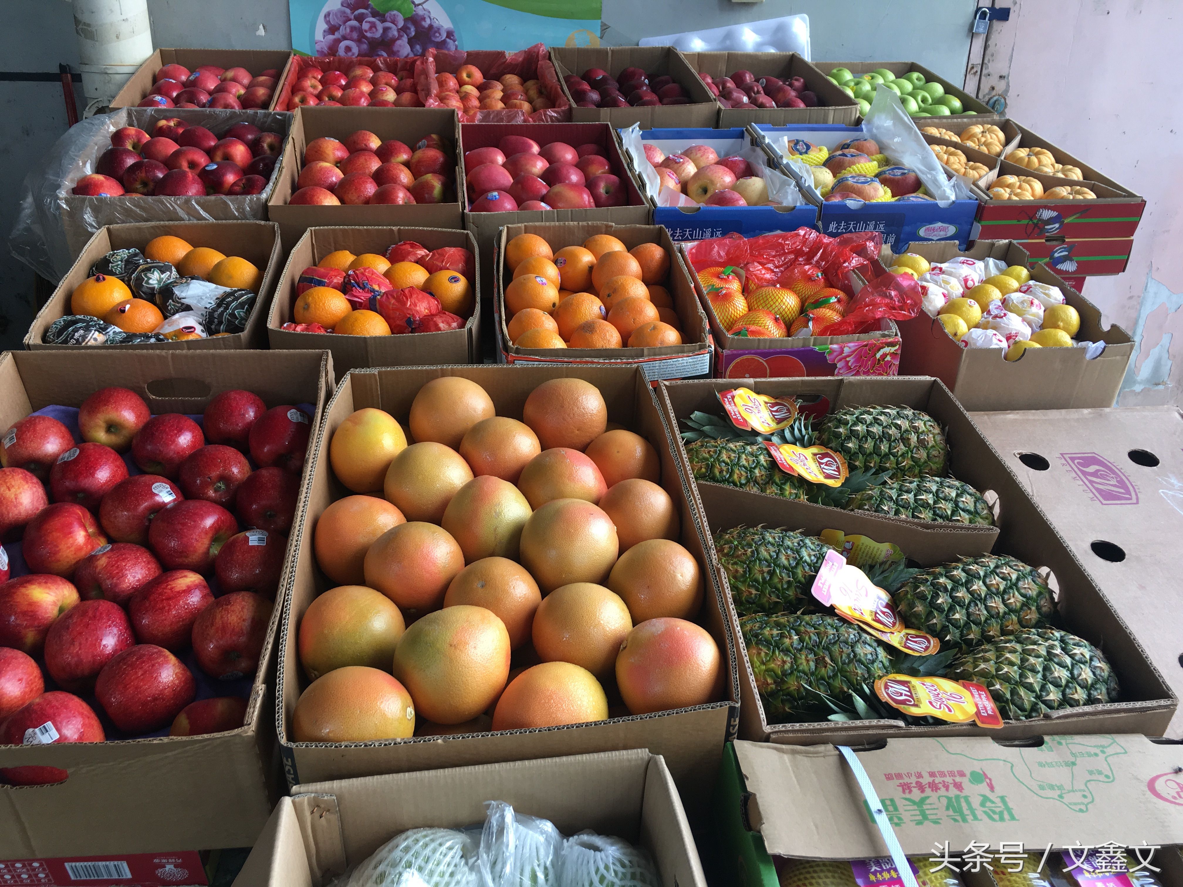 人在旅途:广西最大的水果批发市场游记