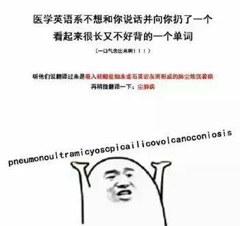 请用一个表情包形容你的专业