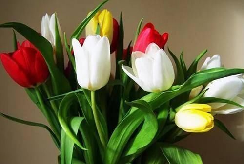 恭喜3生肖,未来七天财神爷开小灶,摇身变三有