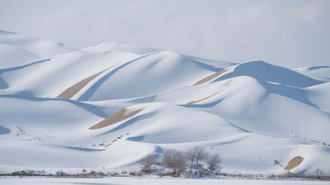 罕见“白沙漠”！新疆塔克拉玛干沙漠雪后披银装 宛若童话世界