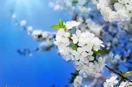 张一山倒下了!年仅25岁,宋丹丹哭的拉不起来!