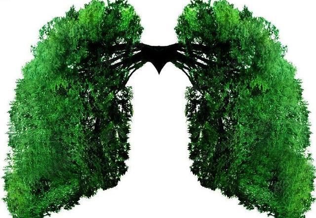 清肺和润肺分不清?河南中医一附院周庆伟教授